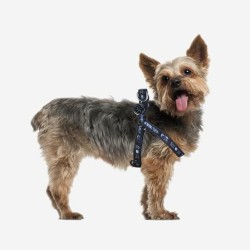 Hundegeschirr Star Wars Schwarz XS/S