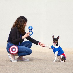 Hundespielzeug The Avengers Blau