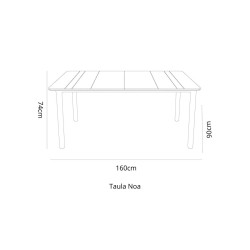 Tisch Resol Noa Dunkelgrau Polypropylen Fiberglas 90 x 160 x 74 cm