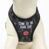 Hundegeschirr Star Wars Reversibel Schwarz XXS