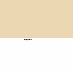 Bettdeckenbezug Pantone Melon Cream Double size (220 x 220 cm)