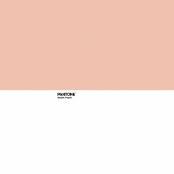 Bettdeckenbezug Pantone Sweet Peach Double size (220 x 220 cm)