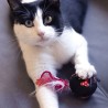Katzenspielzeug Minnie Mouse Rot PET