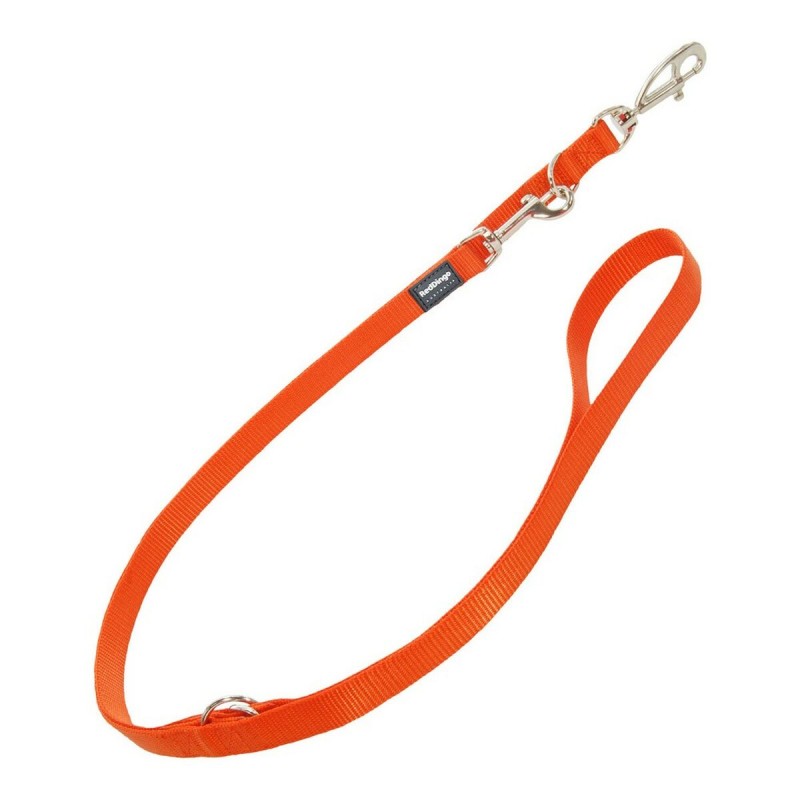 Hundeleine Red Dingo 2.5 cm x 2m Orange