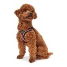 Hundegeschirr Hunter Hilo-Comfort Rot S (42-48 cm)