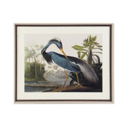 Bild DKD Home Decor Vogel... (MPN S3007275)