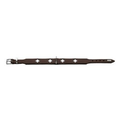 Hundehalsband Hunter Swiss 30-34.5 cm