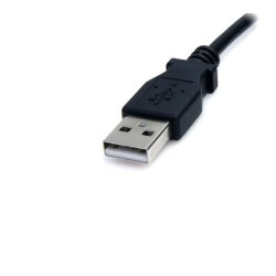 USB-Kabel M Startech USB2TYPEM (MPN S55056585)