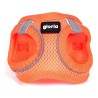 Hundegeschirr Gloria Air Mesh Trek Star Einstellbar Orange (18-20 cm)