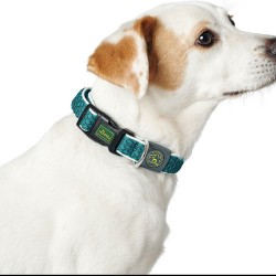 Hundehalsband Hunter Basic... (MPN S6101344)