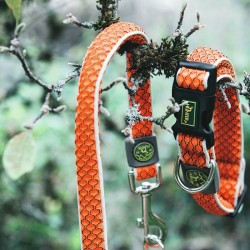 Hundehalsband Hunter Basic Thema Orange S (30-43 cm)