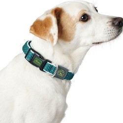 Hundehalsband Hunter Basic... (MPN S6102582)