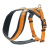 Hundegeschirr Hunter London Comfort Orange S/M 52-62 cm