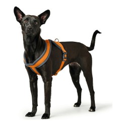 Hundegeschirr Hunter London Comfort Orange S/M 52-62 cm