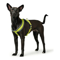 Hundegeschirr Hunter London... (MPN S6102560)