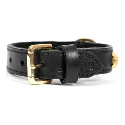 Hundehalsband Gloria Duna Schwarz Gold 40 cm (40 x 2 cm)