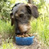 2 in 1 - Flasche mit Wasser- und Futterbehälter für Haustiere Pettap InnovaGoods