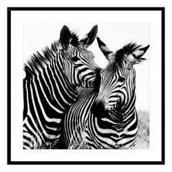 Bild Zebra Kristall (2 x 50... (MPN S3404451)