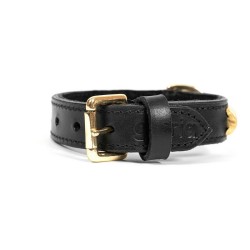 Hundehalsband Gloria Duna Schwarz Gold 45cm (45 x 2.5 cm)