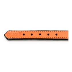 Hundehalsband Gloria Polsterung Orange 55 cm (55 x 2,5 cm)