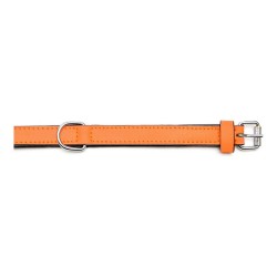 Hundehalsband Gloria Polsterung Orange 50 cm (50 x 2,5 cm)