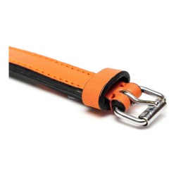 Hundehalsband Gloria Polsterung Orange 50 cm (50 x 2,5 cm)