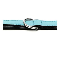 Hundehalsband Gloria Polsterung Blau 50 cm (50 x 2,5 cm)