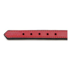 Hundehalsband Gloria Polsterung 45 cm Rot (45 x 2 cm)