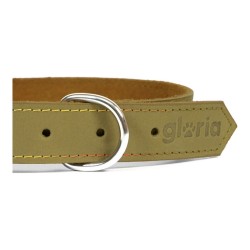 Hundehalsband Gloria Oasis grün 55 cm (55 x 2,5 cm)