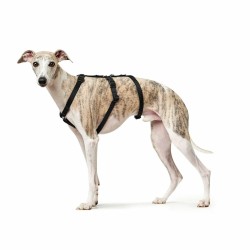 Hundegeschirr Hunter Schwarz L M/L