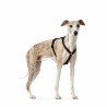 Hundegeschirr Hunter Schwarz L M/L