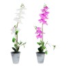 Dekorationspflanze DKD Home Decor Steingut Orchidee 21 x 21 x 82 cm (2 Stück) (12 Stück)