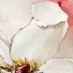 Kissenbezug HappyFriday White Peonies Bunt 45 x 110 cm