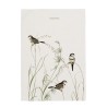 Küchentuch HappyFriday Happy birds Bunt 70 x 50 cm (2 Stück)