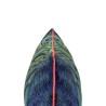 Kissenbezug HappyFriday HF Living Peacock Bunt 50 x 30 cm